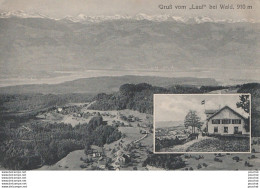 J11- GRUSS VOM LAUF BEI WALD , 910 M.  - (2 SCANS) - Wald