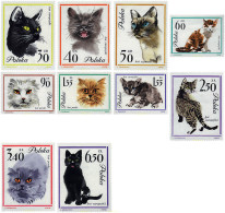 48383 MNH POLONIA 1964 GATOS - Autres & Non Classés
