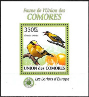 Comore/Comoros/Comores: Rigogolo, Oriole, Loriot, (Oriolus Oriolus) - Moineaux