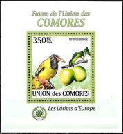 Comore/Comoros/Comores: Rigogolo, Oriole, Loriot, (Oriolus Oriolus) - Moineaux