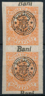 ** Nagyvárad 1919 Hírlapbélyeg Függőleges Pár Korona Vízjellel, Eltolódott Felülnyomással / Mi 19 In Pair With Shifted P - Otros & Sin Clasificación