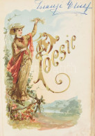 1885-1905 "Triangi Elise Poesie" Triangi Elise Emlékkönyve. 1885-1905 Közötti Bejegyzésekkel. Több Mint 50 Bejegyzéssel, - Non Classés