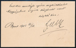 1905 Falk Miksa (1828-1908) író, Politikus Autográf Sorai, Aláírásával Saját Névjegykártyáján. - Non Classés