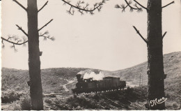 Biscarosse (40 - Landes) Le Rapide De Naouas - Biscarrosse