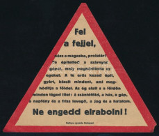 1919 "Fel A Fejjel, Nézz A Magasba, Proletár!" - A Tanácsköztársaság Első Május 1-jén Repülőgépről Ledobott Röplap, Háto - Non Classés