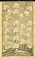 [Johann Heinrich Grischow (1678-1754)] Io[hann] Henricus Grischovius: Facilis Et Perspicua Grammatica Graeca, Dilucidis  - Non Classificati