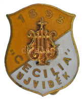 ~1900. "Cecilia Újvidék" Zománcozott Bronz Dalos Jelvény (17x14mm) T:AU / Hungary ~1900. "Cecilia Újvidék (Novi Sad)" En - Non Classificati