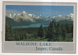 AK 241498 CANADA -  Jasper - Maligne Lake - Jasper