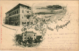 T2/T3 1899 (Vorläufer) Crikvenica, Cirkvenica; Hotel Nadvojvodikinji Clotildi (Klotilde), Kupaliste, Vojnicko Ljeciliste - Non Classificati