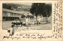 T3 1905 Talcahuano, Plazuela Del Jardin. Carlos Brandt No. 10. / Garden Square, Market, Ox Cart (EK) - Non Classificati