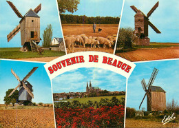 MOULINS A VENT SOUVENIR DE BEAUCE - Windmills