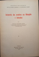 Assimetria Dos Membros Em Nhúnüès E Antumbas - Irene Garcia - Livres Anciens