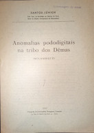 Anomalias Pododigitais Na Tribo Dos Dêmas (Moçambique) - Santos Júnior - Livres Anciens