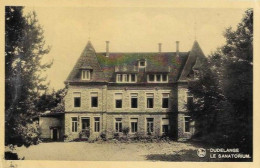 LUXEMBOURG - DUDELANGE - Le Sanatorium -  Cpa Circulée - L'état Très Bon ! - Düdelingen