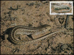Venda - MK - Slangen / Snakes - Venda