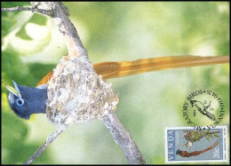 Venda - MK - Migratory Birds - Venda