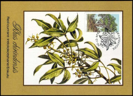 Ciskei - MK - Indigenous Trees - Ciskei