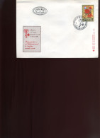 Joegoslavië  -  FDC  -  Rode Kruis - FDC