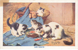 BELGIQUE #MK34577 BRUXELLES . SCHAERBEEK CARTE PUBLICITE CHATS - Old Professions