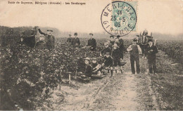 33 MERIGNAC #FG45577 ECOLE DE GUYENNE LES VENDANGES RECOLTE - Merignac