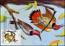 Hongarije - MK -  Vogels / Birds - Maximumkarten (MC)