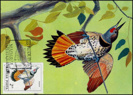 Hongarije - MK -  Vogels / Birds - Maximumkarten (MC)