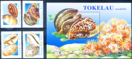 Conchiglie 1996. - Tokelau