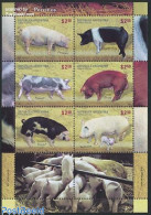 Argentina 2011 Pigs 6v M/s, Mint NH, Nature - Animals (others & Mixed) - Cattle - Ongebruikt