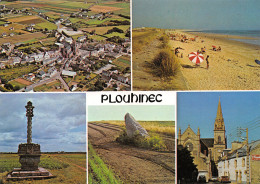 29-PLOUHINEC-N°3481-A/0365 - Plouhinec