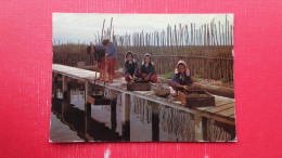 Folklore De France.Bassin D"Arcachon.Groupe De Gujan-Mestras.Jeune Parkueuses Au Triage Des Huitres - People