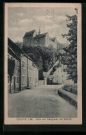 AK Colditz I. Sa., Blick Von Der Haingasse Auf Das Schloss - Colditz