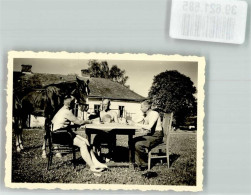 39621585 - Skat Im Gutsgarten Pferd - Playing Cards