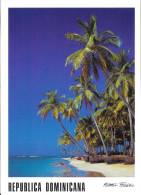 République Dominicaine (Republica Dominicana) Punta Bonita, Playa, Palmiers - Photo Michael Friedel - Dominica