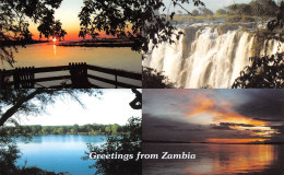 ZAMBIE ZAMBIA The ZAMBEZI River 41 (scan Recto Verso)ME2646VIC - Zambia