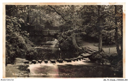 ARLP3-0215-IRLANDE - NEWCASTLE-ON-TYNE - Stepping Stones - Jesmond Dene - Newcastle-upon-Tyne