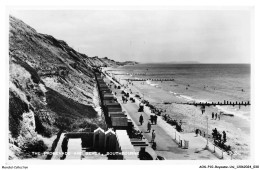 AOSP10-0619-ROYAUME-UNI - The Promenade And Beach - SOUTHBOURNE - Bournemouth (ab 1972)