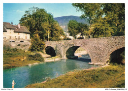 AQDP6-0440-48 - CHANAC - Le Pont Vieux Sur Le Lot - Chanac