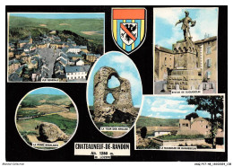 ASQP17-1045-48 - CHATEAUNEUF-DE-RANDON - Diverses Vue - Chateauneuf De Randon
