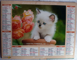 Calendrier Oberthur  2016 - Chatons -  (272 X 210 Mm) - Groot Formaat: 2001-...