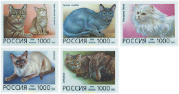 37111 MNH RUSIA 1996 GATOS DOMESTICOS - Autres & Non Classés