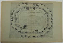 NOUVEAU JEU D'HISTOIRE NATURELLE  - 50 X 33 CM - UITGAVE H.R. D'ALLEMAGE  JAREN +- 1950.    PAKKET - Altri & Non Classificati