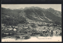 AK Trient /Route De Salvan, Panorama - Trient
