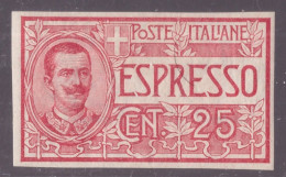 Italia Regno, Espresso Da 25 C. Del 1903 Non Dentellato Nuovo *  -GW25 - Express Mail
