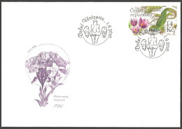 Czech Republic - Large Anemone (Pulsatilla Grandis) And Eastern Green Lizard (Lacerta Viridis), FDC, 2010 - FDC