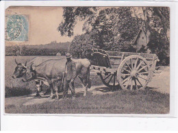 GRIGNON: école De Grignon, Maison Du Cantonnier Et Transport De Terre, Attelage De Boeufs - état - Grignon