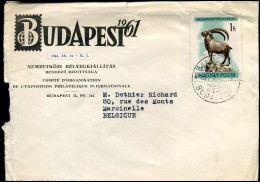 Cover To Marcinelle, Belgium - Briefe U. Dokumente