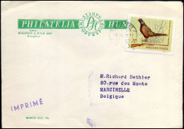 Cover To Marcinelle, Belgium - Briefe U. Dokumente
