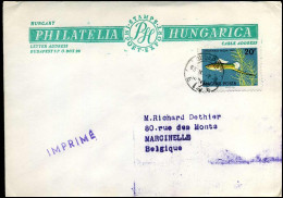 Cover To Marcinelle, Belgium - Briefe U. Dokumente