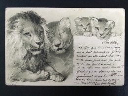 LION -LIONNE - LIONCEAUX «  CARTE DE 1900 GAUFRÉE,RELIEF ,SÉRIE 8126 . - Löwen