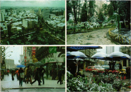 CPM AK Curitiba Souvenir BRAZIL (1463256) - Curitiba